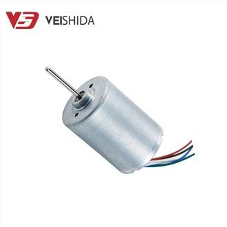Bürstenloser 12-V-DC-Motor