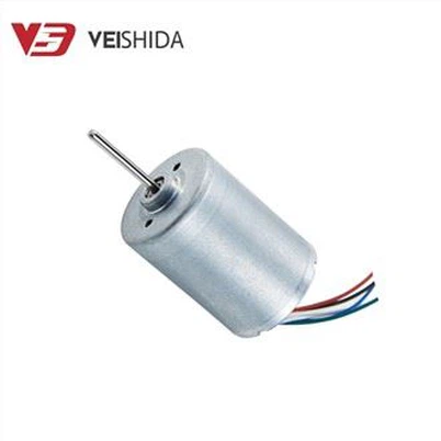 Bürstenloser 12-V-DC-Motor